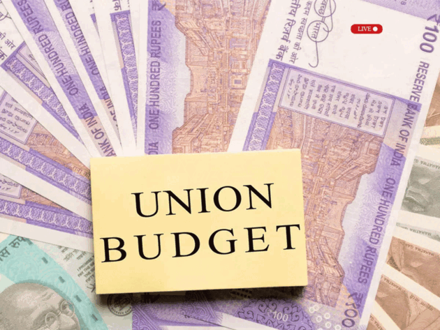 Budget 2024 Expectations Live: A call to focus on 'underfunded sectors'