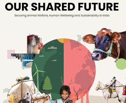 Our Shared Future | Securing Animal Welfare, Human Wellbeing and Sustainability in India