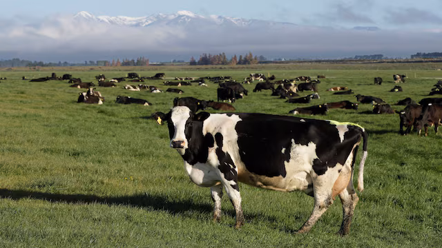 Connecting the Dots: How critical is animal welfare for India's sustainable economy