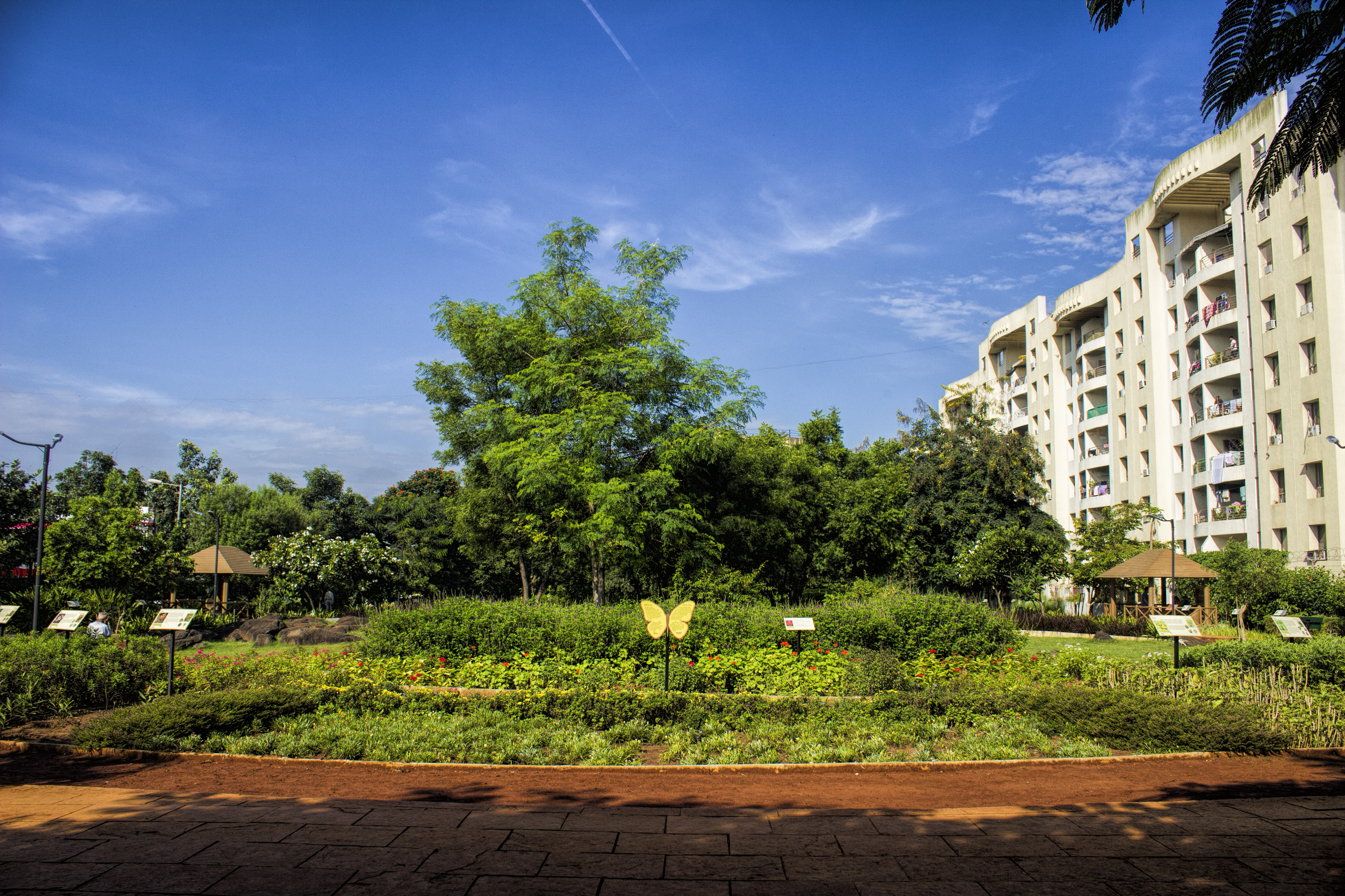 Giving Pi Newsletter | June 2024