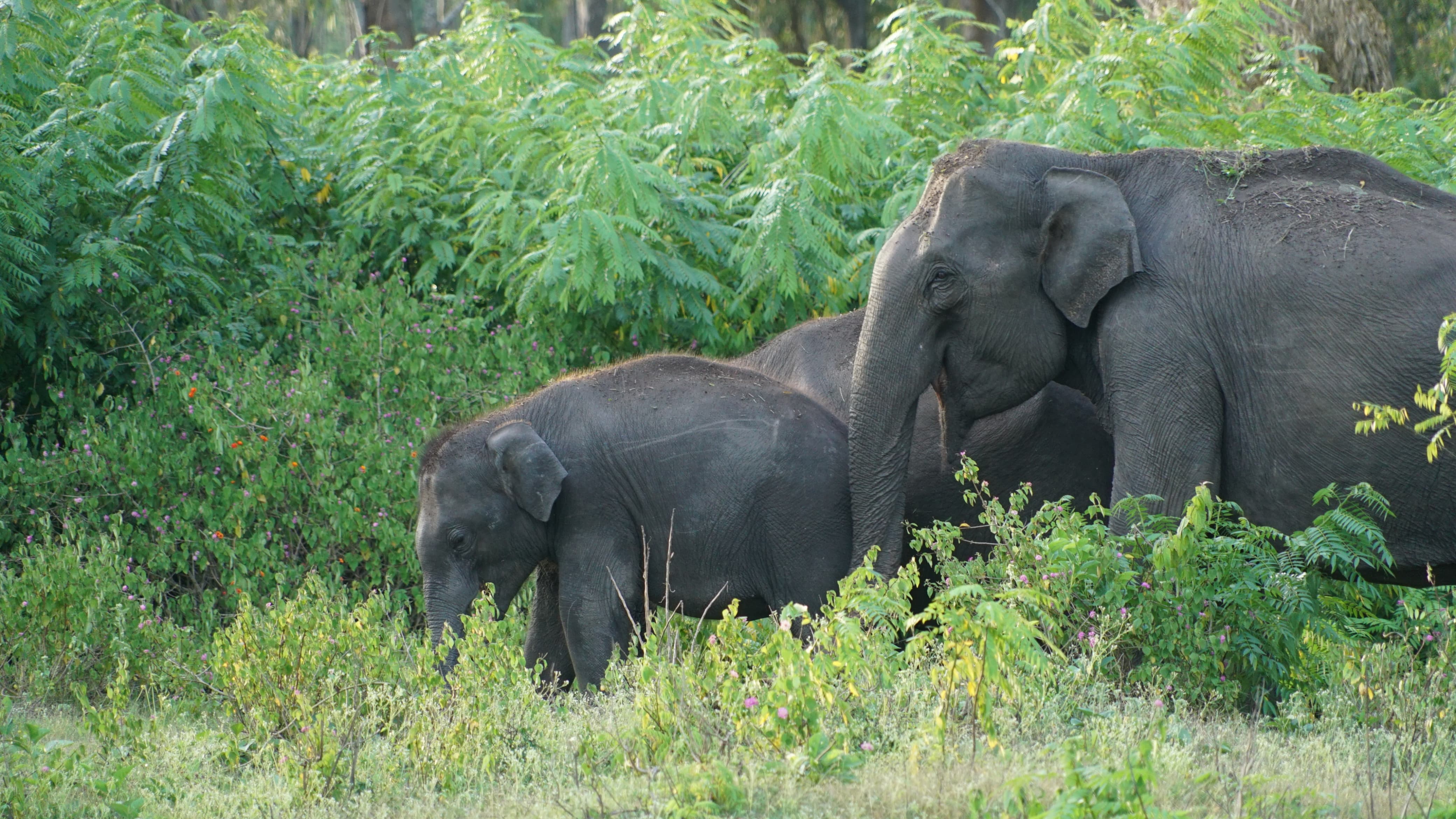 GivingPi Newsletter | August 2025