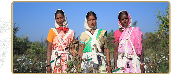 GivingPi Newsletter | November 2024